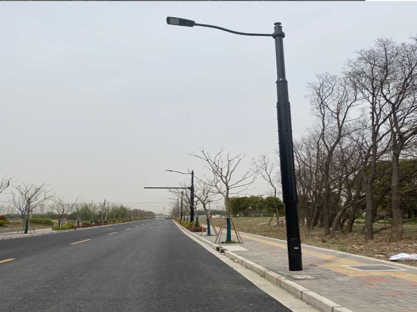 珲春市上海综合杆 太阳能路灯工程